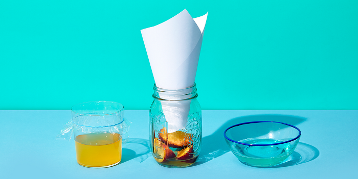 Comment se debarrasser des mouches des fruits